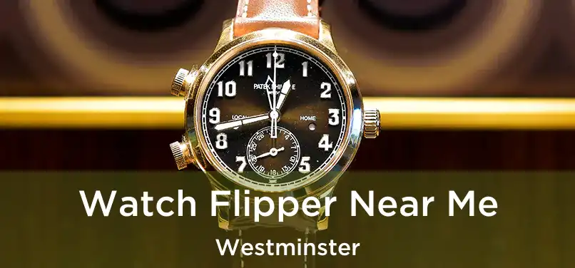  Watch Flipper Near Me Westminster